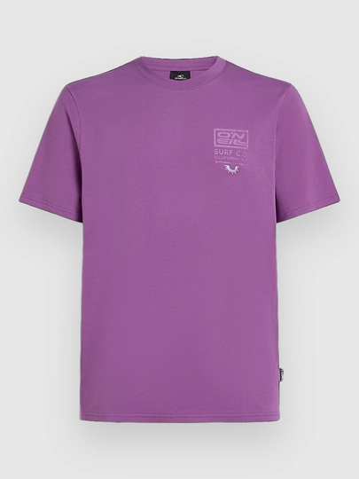 Retro Graphic T-paita