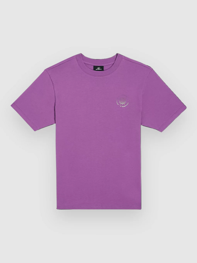 Small Graphic Kids T-Paita