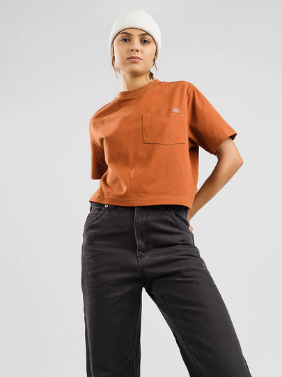 Dickies Porterdale Crop T-Shirt oranssi