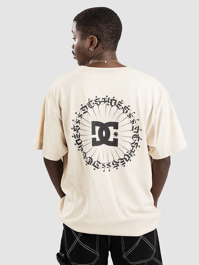 DC Hoodlum T-Shirt valkoinen