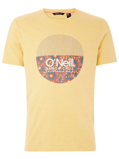 O'Neill Bedwell T-Shirt kuviotu