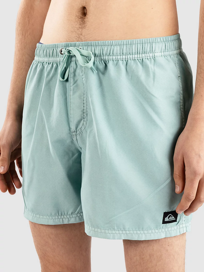 Quiksilver Everyday Surfwash Volley 15 Surffishortsit sininen
