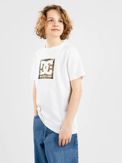 DC Square Star Fill T-Shirt valkoinen